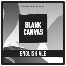 Load image into Gallery viewer, Murphy & Son Blank Canvas Dried Yeast (500g)