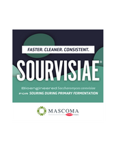 Load image into Gallery viewer, Sourvisiae Lactic-Producing Yeast (500g)