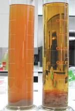 Load image into Gallery viewer, Polyclar Brewbrite Powder (55lb)