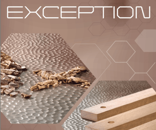 Oenochips Exception