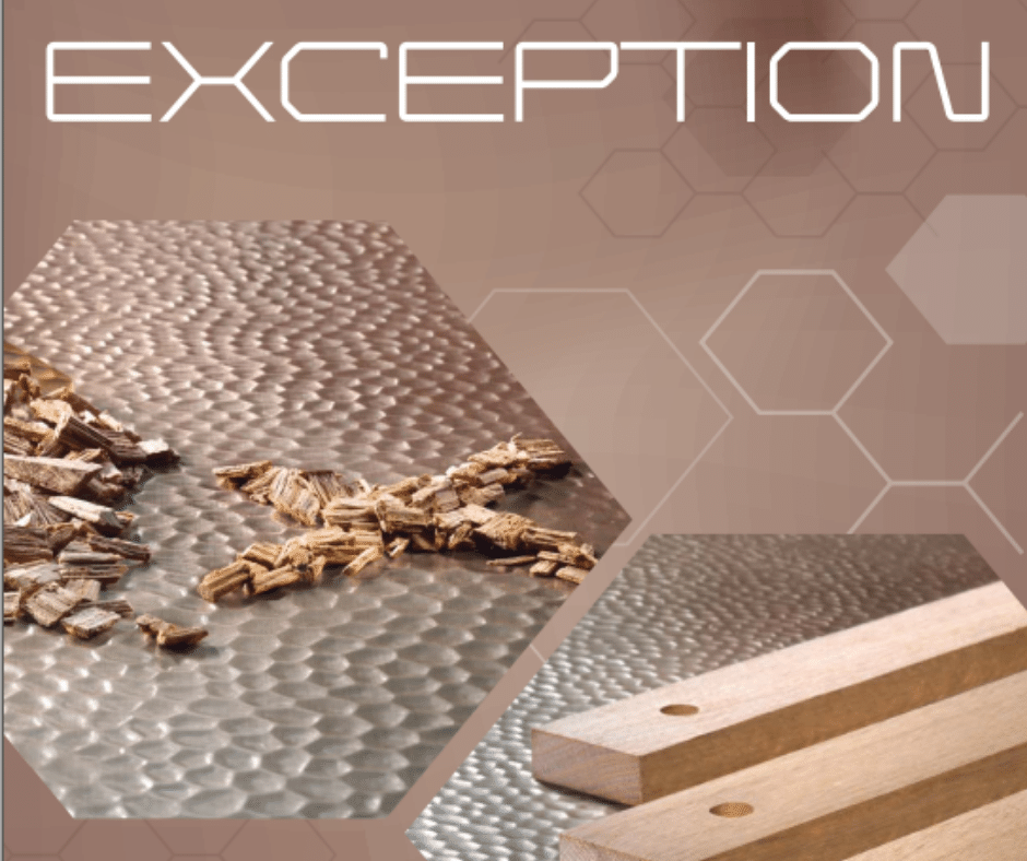 Oenochips Exception