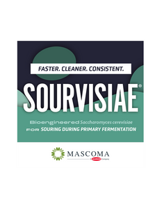 Sourvisiae Lactic-Producing Yeast (500g)